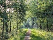 kartal boşanma avukatı uzman