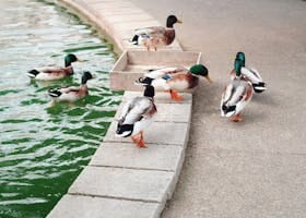 tuzla boşanma avukatı