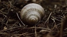 kadıköy ceza avukatı