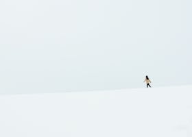 bilişim avukatı istanbul