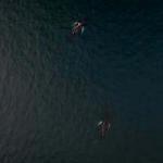 Kripto Varlık Avukatı