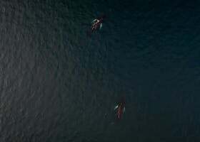 Kripto Varlık Avukatı