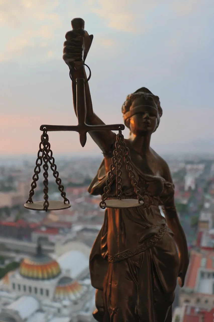 IT law IT law