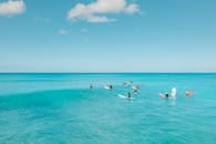 En İyi Kripto Para Avukatı