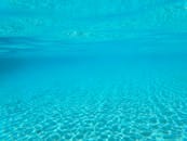 Kripto Varlık Mağdur Hakları