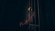 Dubai Ceza Avukatı